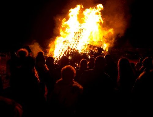 Bonfire & Fireworks