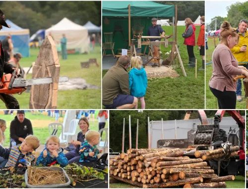 Surrey Hills Wood Fair